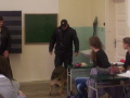 Pr�ca drogov�ho psa v triede VII.D pod veden�m psovoda