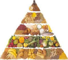 Potravinov� pyram�da