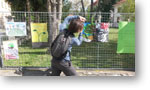 Žiak pripevňuje ekoplagát na oplotenie školy