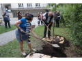 Sadenie stromu priate�stva riadite�mi dru�obn�ch �k�l
