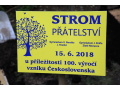N�pis na strome priate�stva: Strom p��telstv� - Gymn�zium V. Nov�ka, J. Hradec, Gymn�zium J. Kr�a, Zlat� Moravce, 15.6.2018, u p��le�itosti 100. v�ro�� vzniku �eskoslovenska