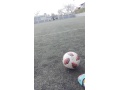 Poh�ad na loptu polo�en� na ihrisku