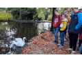 �iaci pozoruj� labu� v jazere Topo��ianskeho parku