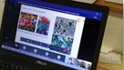 Pohľad na displej notebooku, na ktorom beží online prednáška zobrazujúca fotografie rastlín