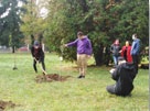 Mgr. Minárová, Mgr. Mihaličková a žiaci gymnázia počas výsadby stromov
