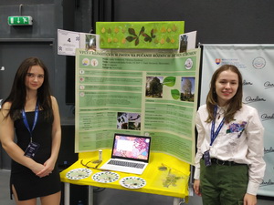 Festival vedy a techniky - celo�t�tne kolo AMAVET