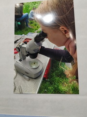 Festival vedy a techniky - celo�t�tne kolo AMAVET