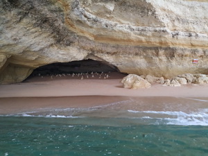 Mobilita u�ite�ov Lagoa/Portugalsko