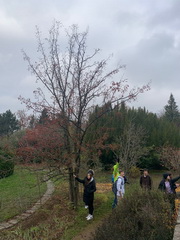 Exkurzia s prv�kmi do Arbor�ta Mly�any