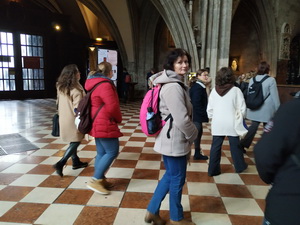 Exkurzia do predviano�nej Viedne