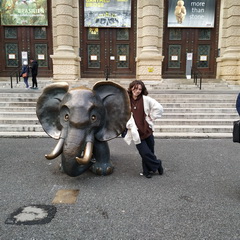 Exkurzia do predviano�nej Viedne