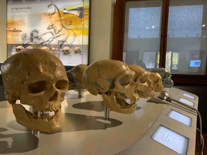 Exkurzia do predviano�nej Viedne