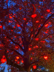 exkurzia-predvianocna-vieden