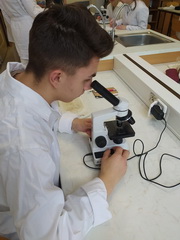 Gymn�zium Janka Kr�a v Jind�ichovom Hradci