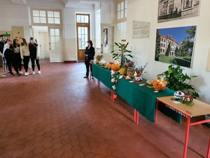 Jesenn� aran�ovanie