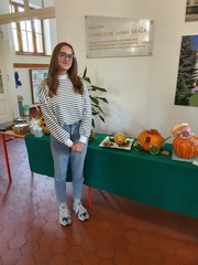 Jesenn� aran�ovanie