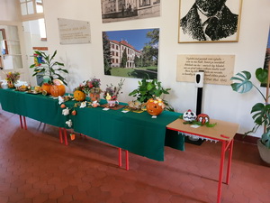 Jesenn� aran�ovanie