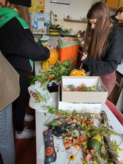 Jesenn� aran�ovanie