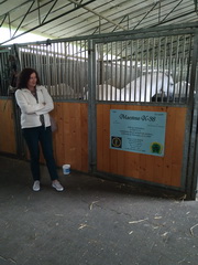 Nadviazanie na partnersk� spolupr�cu s rak�skou �kolou z Tullnu