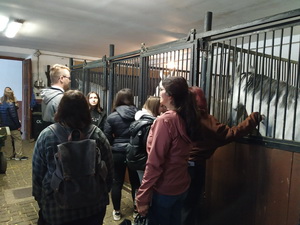 Nadviazanie na partnersk� spolupr�cu s rak�skou �kolou z Tullnu