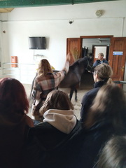 Nadviazanie na partnersk� spolupr�cu s rak�skou �kolou z Tullnu