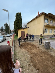 Realizujeme projekt ROOTS & SHOOTS