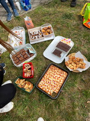 Realizujeme projekt ROOTS & SHOOTS