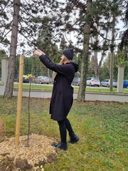 Pri�iel �as o�etri� ovocn� stromy