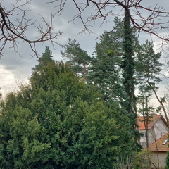 ��elov� cvi�enie 1. A s lesn�mi pedag�gmi