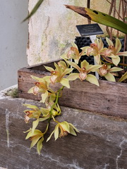 ��elov� cvi�enie 1. A s lesn�mi pedag�gmi