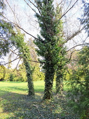 ��elov� cvi�enie 1. A s lesn�mi pedag�gmi