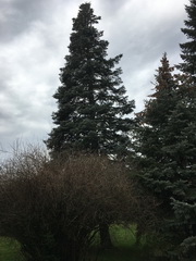 ��elov� cvi�enie 1. A s lesn�mi pedag�gmi