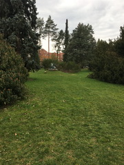 ��elov� cvi�enie 1. A s lesn�mi pedag�gmi