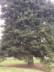 ��elov� cvi�enie 1. A s lesn�mi pedag�gmi