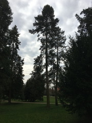 ��elov� cvi�enie 1. A s lesn�mi pedag�gmi