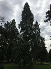 ��elov� cvi�enie 1. A s lesn�mi pedag�gmi