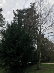 ��elov� cvi�enie 1. A s lesn�mi pedag�gmi