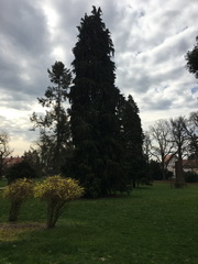 ��elov� cvi�enie 1. A s lesn�mi pedag�gmi