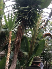 ��elov� cvi�enie 1. A s lesn�mi pedag�gmi