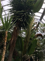 ��elov� cvi�enie 1. A s lesn�mi pedag�gmi