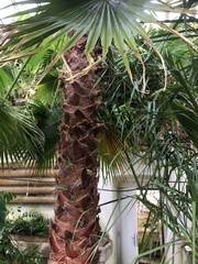 ��elov� cvi�enie 1. A s lesn�mi pedag�gmi