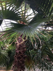 ��elov� cvi�enie 1. A s lesn�mi pedag�gmi