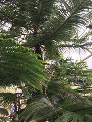 ��elov� cvi�enie 1. A s lesn�mi pedag�gmi