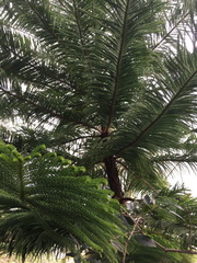 ��elov� cvi�enie 1. A s lesn�mi pedag�gmi