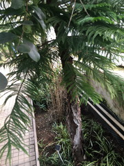 ��elov� cvi�enie 1. A s lesn�mi pedag�gmi