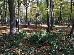 ��elov� cvi�enie - 1. ro�n�k