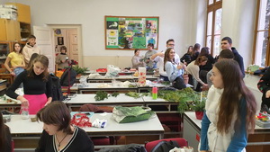 Viano�n� aran�ovanie