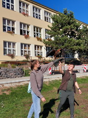 Druh�ci na potulk�ch Banskou �tiavnicou