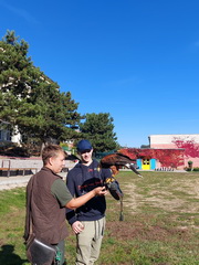 Druh�ci na potulk�ch Banskou �tiavnicou