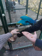 Druh�ci na potulk�ch Banskou �tiavnicou